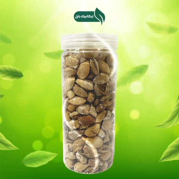 بادام درختی نمکی پوست کاغذی ارگانیک بابل