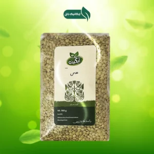 عدس آبگینه