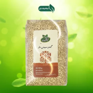 گندم سبوس دار آبگینه