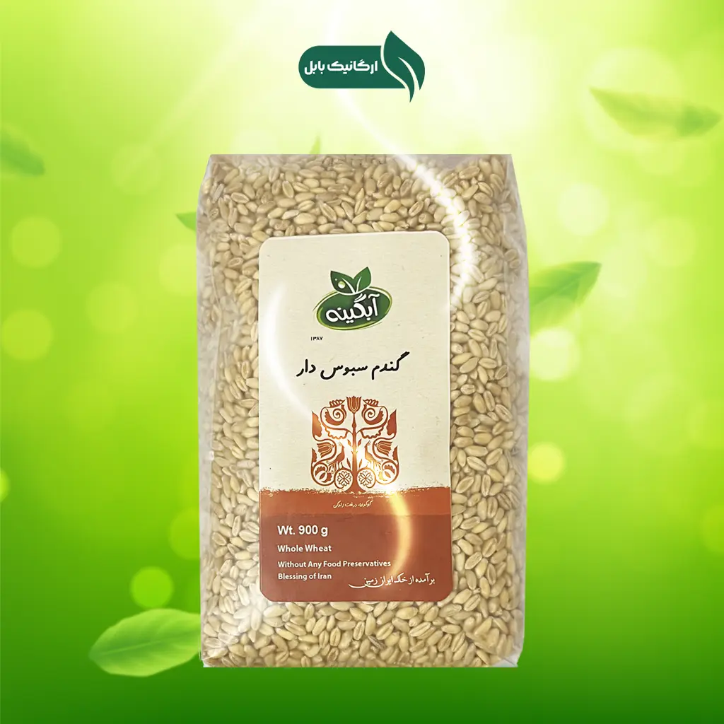 گندم سبوس دار آبگینه