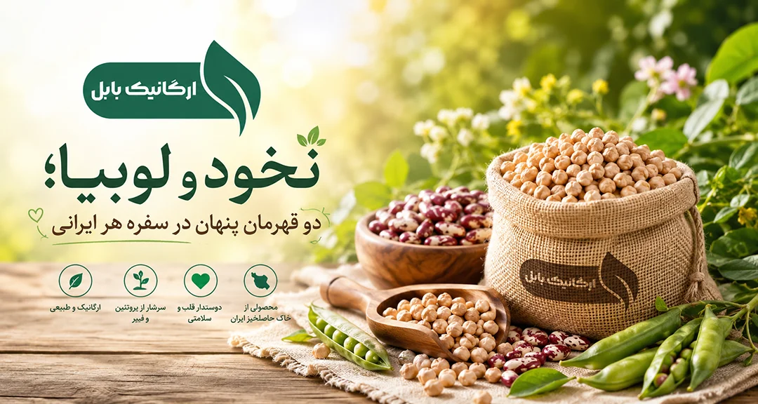 نخود و لوبیا؛ دو قهرمان پنهان در سفره هر ایرانی