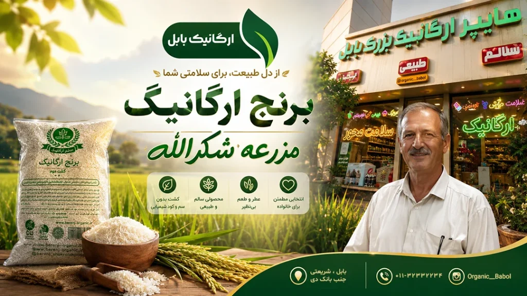 برنج ارگانیک در برابر برنج معمولی: سفره‌ای سالم‌تر با مزرعه شکرالله