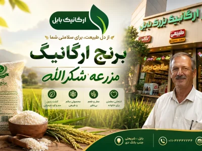 برنج ارگانیک در برابر برنج معمولی: سفره‌ای سالم‌تر با مزرعه شکرالله